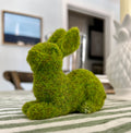 Faux Moss Bunny - Laying